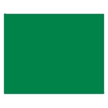 Sugarflair Sugar Paste Holly Green